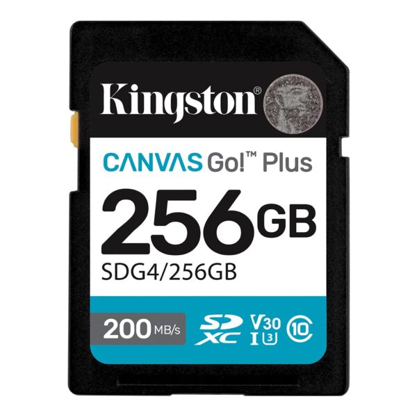 KingSton Canvas Go Plus SD 254 GB - Image 2