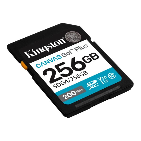 KingSton Canvas Go Plus SD 254 GB - Image 3