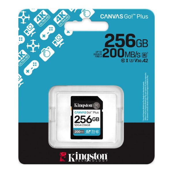 KingSton Canvas Go Plus SD 254 GB